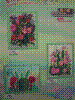 flower show2004 136.jpg